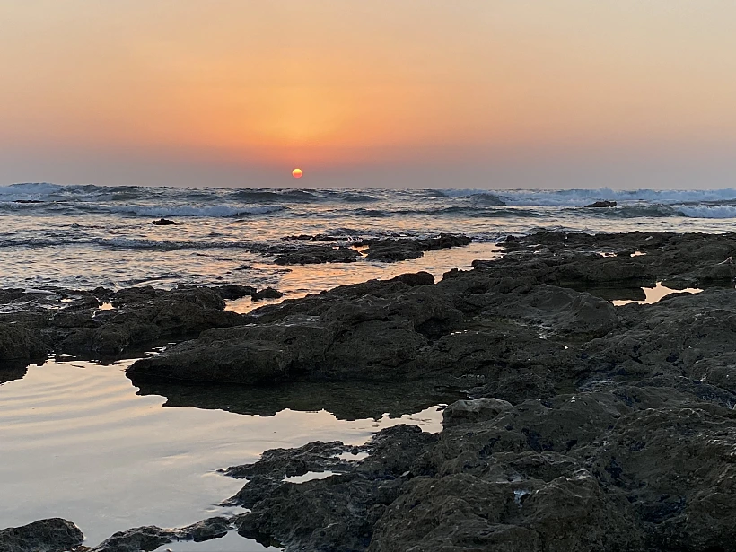 שמורת שקמונה בשקיעה. צילום: אבנית סטרולוב