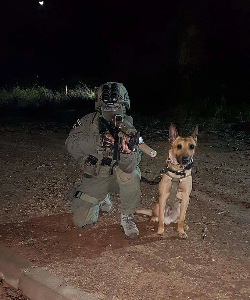 כלב הימ''מ ''זילי'' שנהרג בפעילות בשכם