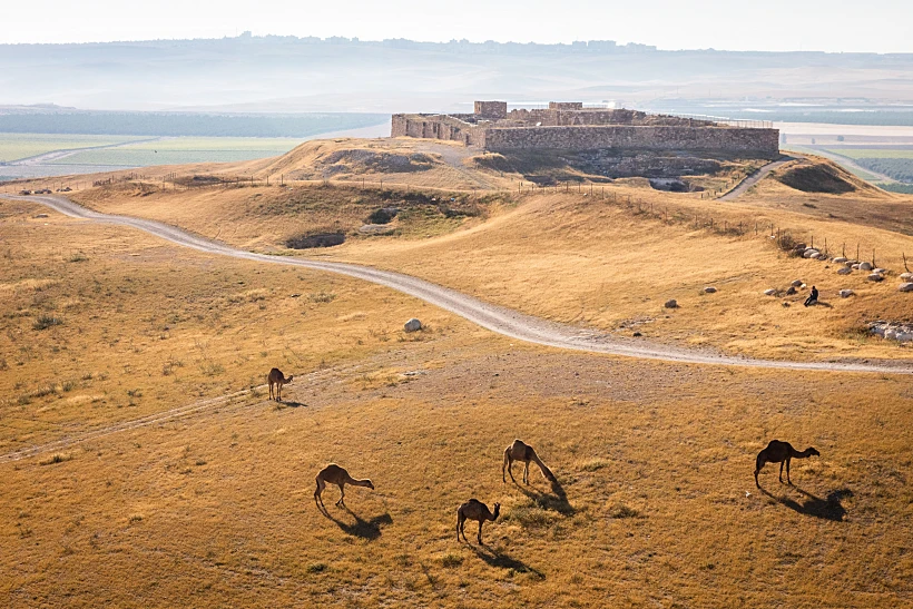 יקב יתיר. קרדיט צילום: יקב יתיר