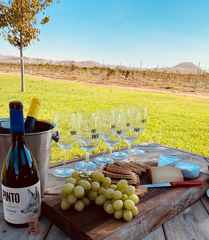 כרם ירוחם צילום דוד פינטו (1)