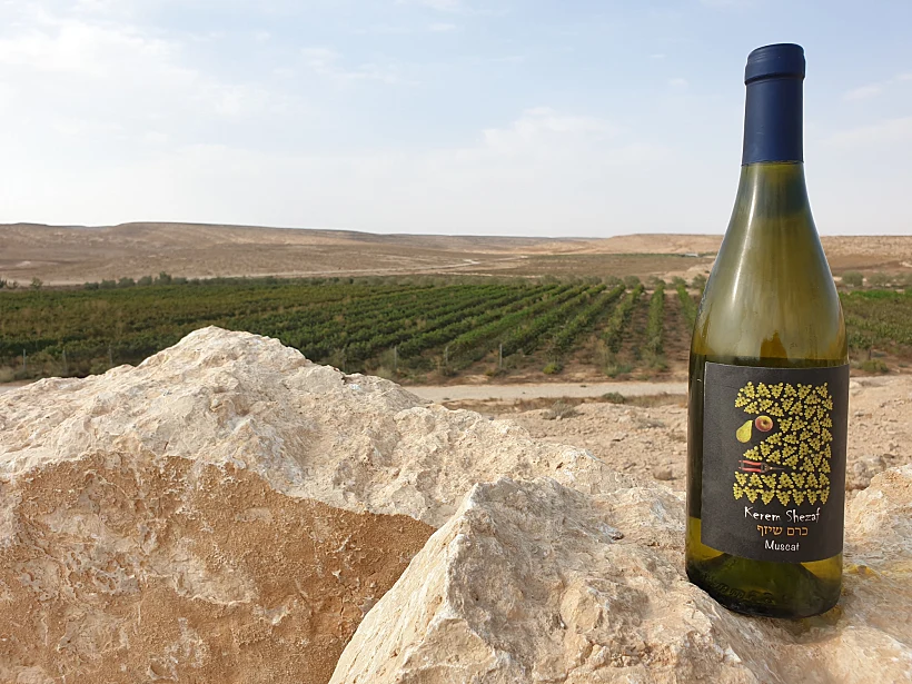 מצפה רמון-כרם שיזף. קרדיט לי בלוט