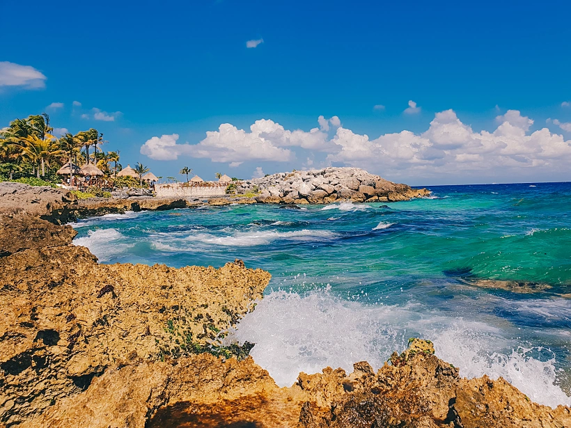 עצי דקל ומי טורקיז. צילום: ליאת כהן רביב