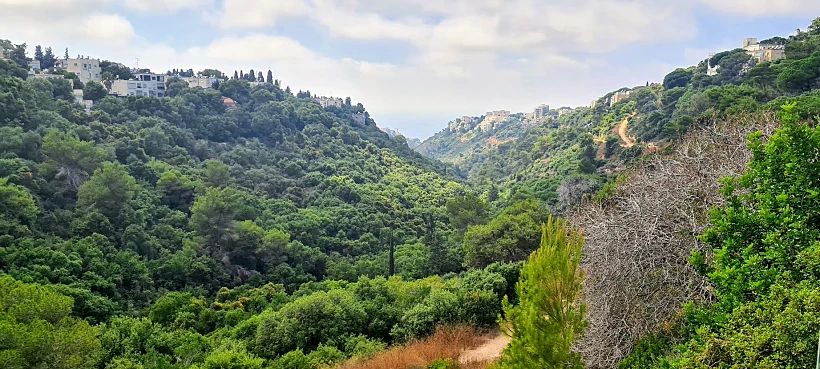 טבע צמוד לעיר