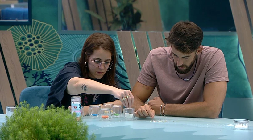 האח הגדול | שחף ושרין