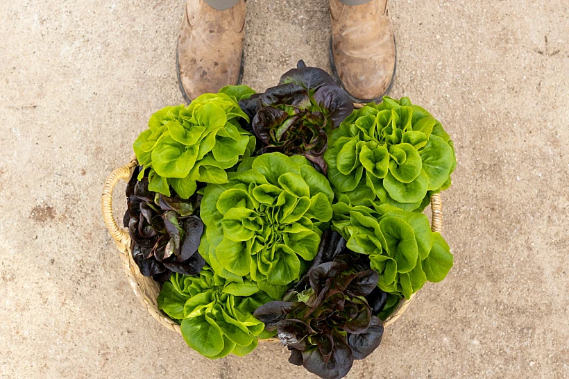 Whatsapp Image 2022 08 16 At 1