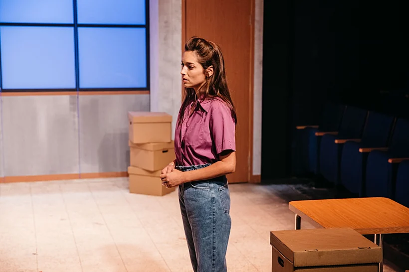 אביב פנקס, גלבי, הבימה