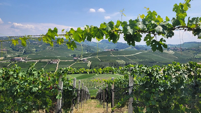 איטליה חבל פיימונטה. צילום: מיכל בן ארי מנור