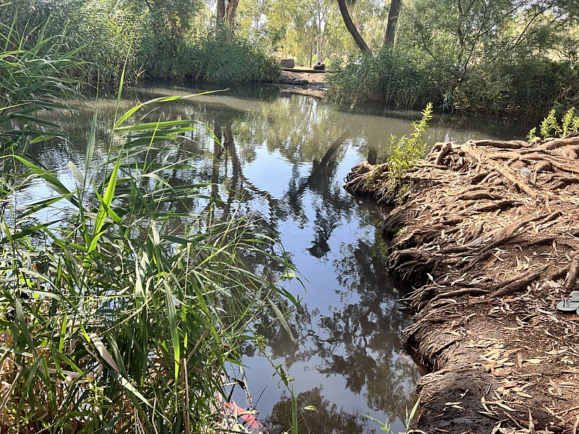 עין צנובר. צילום אבנית סטרולוב