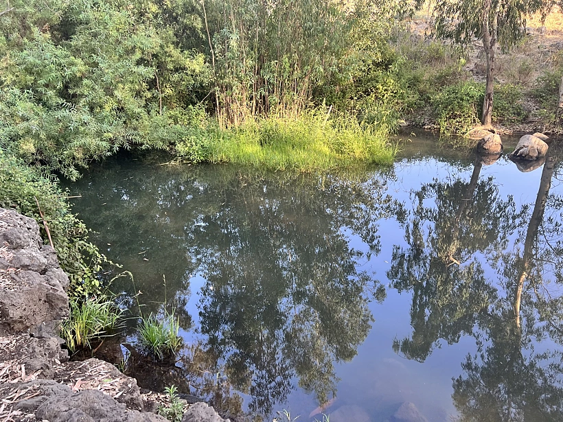 עין תות. צילום אבנית סטרולוב