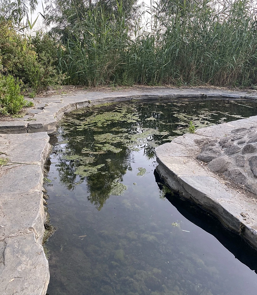 עין כנף. צילום אבנית סטרולוב