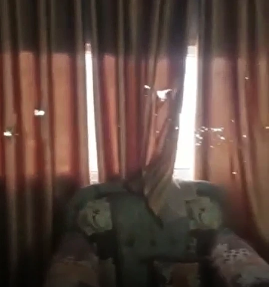 פגיעת ירי בבית בג'נין