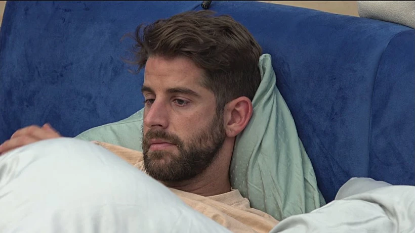 האח הגדול | שחף