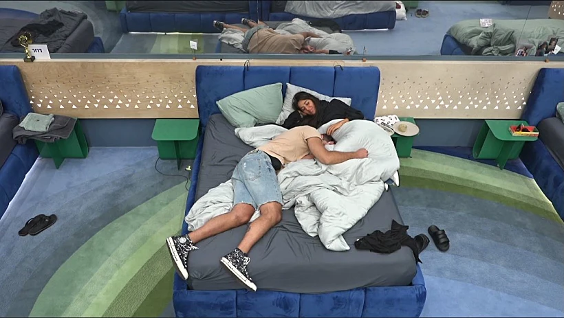 האח הגדול | שחף וטליה