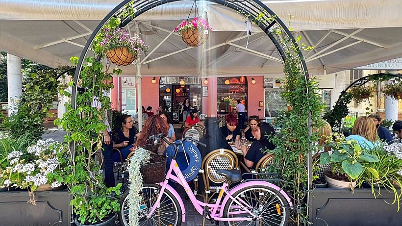 שיריז. צילום: יפעת חן כהן