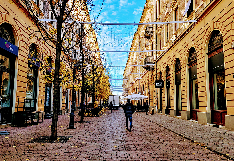 שלכת בדרבצן. צילום: עינת הרשקו