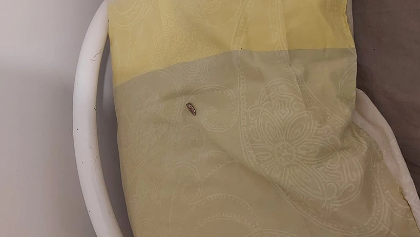 הקליע התועה שחדר לבית בכוכב יעקב