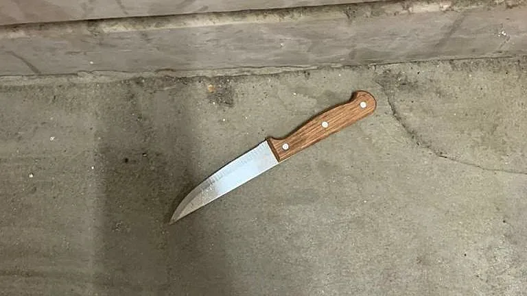הסכין ששימשה את המחבל