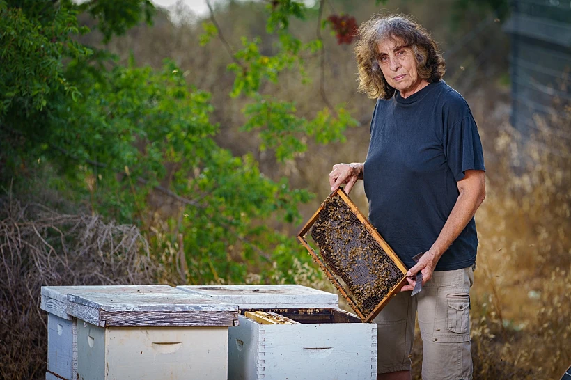 דבוראית נגה ראובן