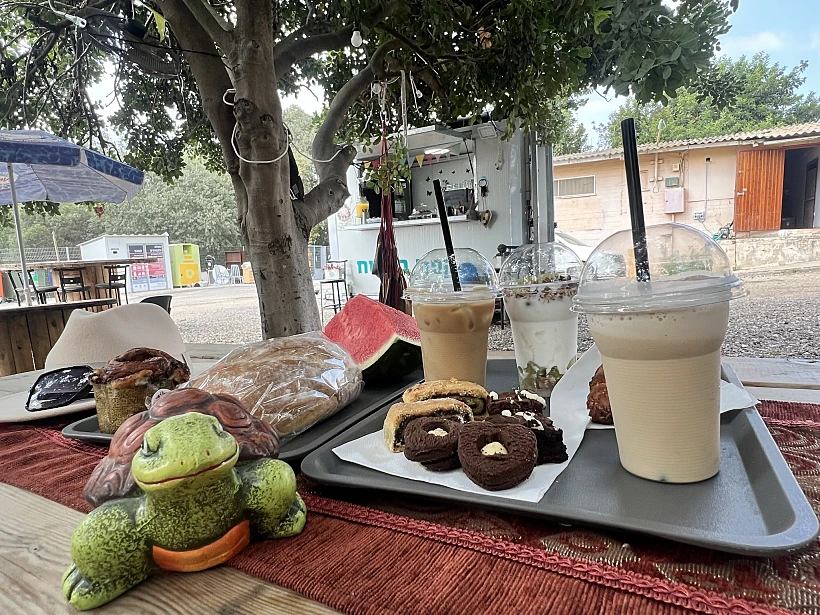 קפה בשטח. צילום אבנית סטרולוב