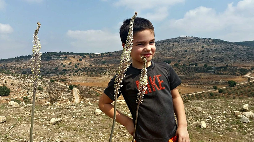 תל ידפת. צילום: עינב לנדאו