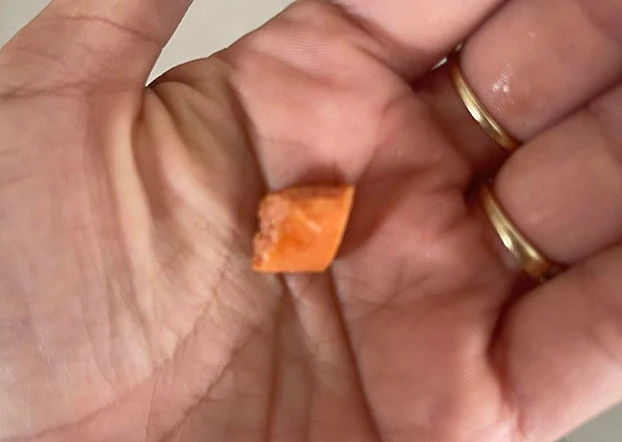 חתיכת הנקניקייה שכמעט והובילה לאסון