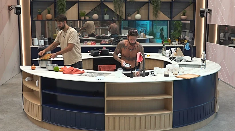 האח הגדול | דרור ושחף