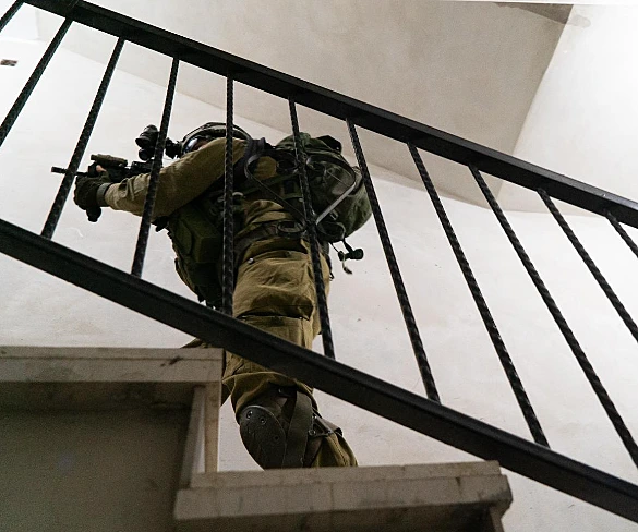 פעילות צה''ל