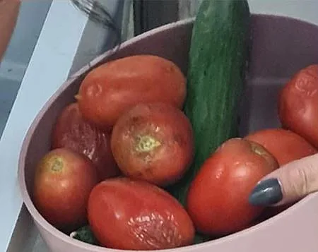 הירקות הרקובים של גן נעמת