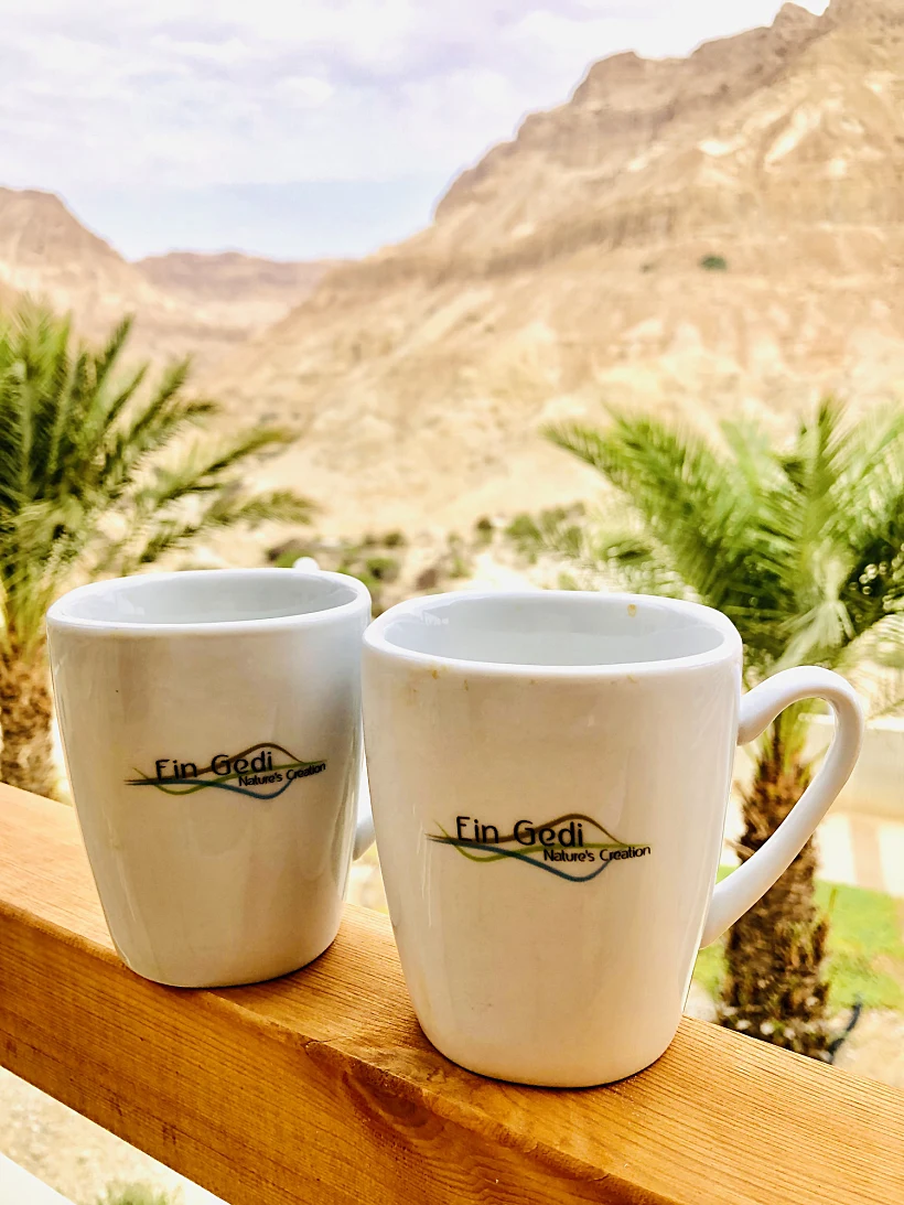 עין גדי. צילום: מלי אברמוביץ