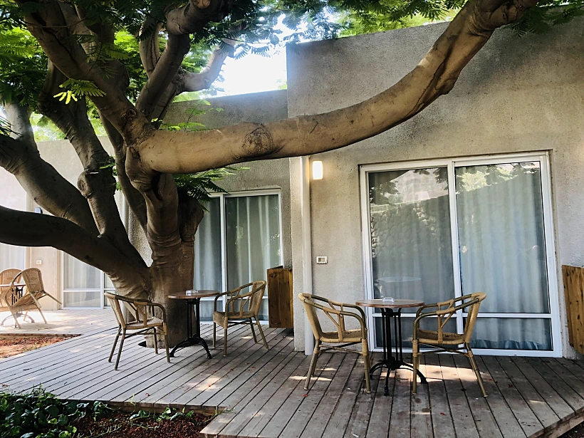 מלון עין גדי. צילום: מלי אברמוביץ