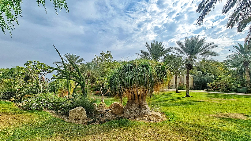 גן בוטני בלב מלון עין גדי. צילום: יפעת כהן
