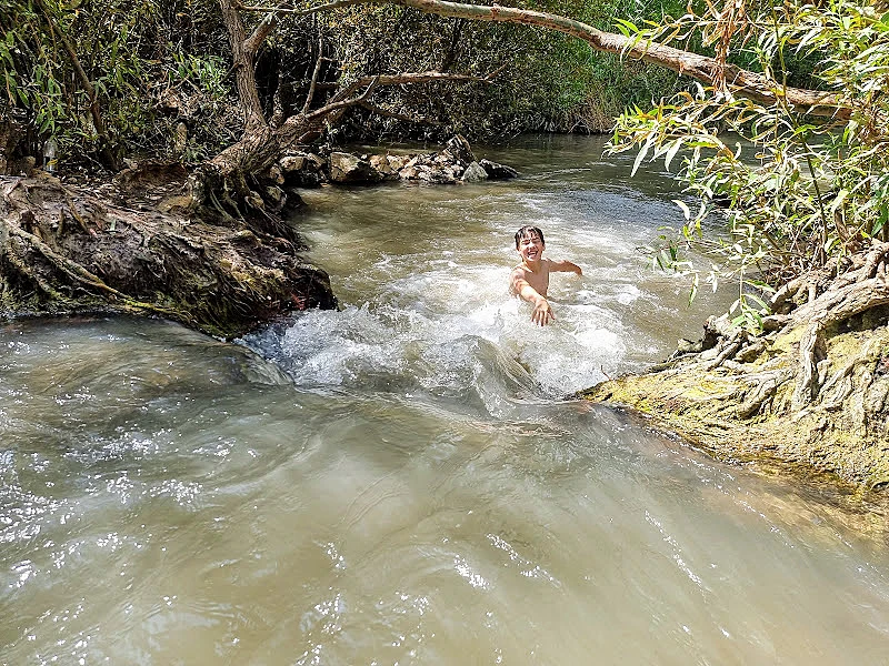 בית לאה. צילום: עינב לנדאו