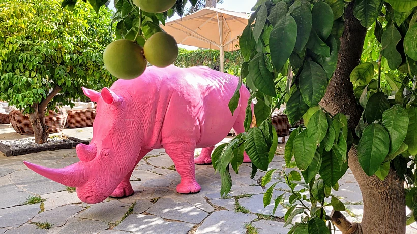 מלון ליר גדרה. צילום מיכל בן ארי מנור