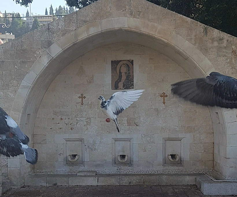 כיכר המעיין בנצרת. צילום: ינינה זסלבסקי אפק