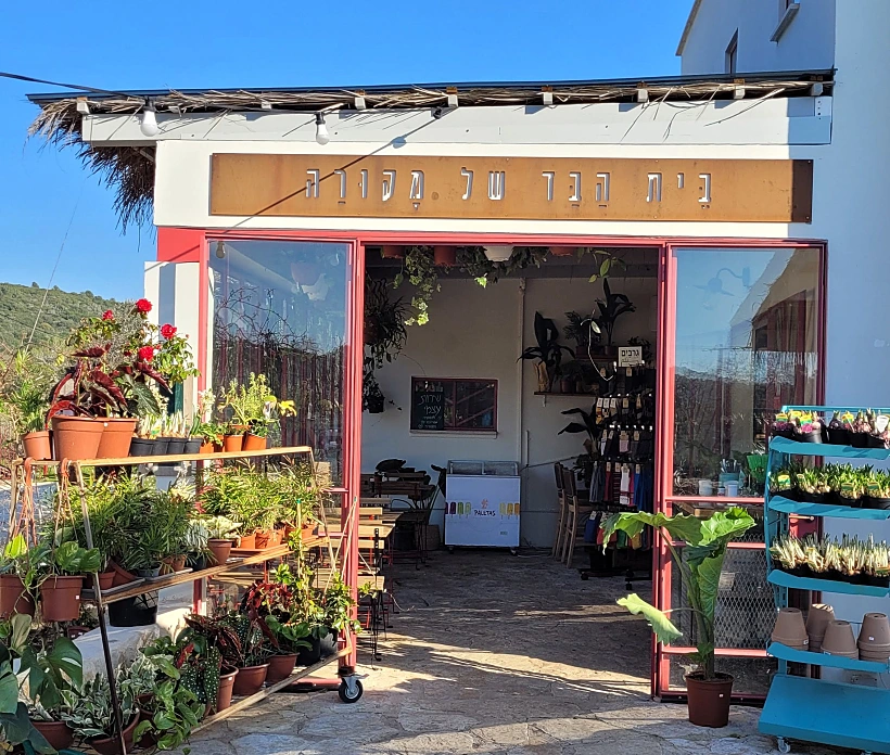 בית הבד של מקורה. צילום: מיכל בן ארי מנור