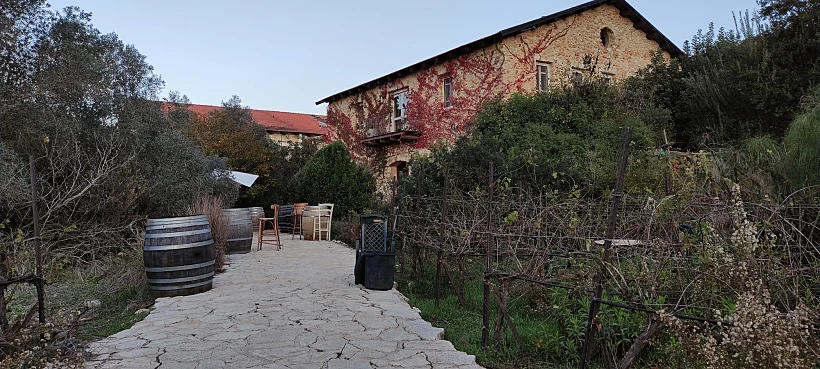 יקב אמפורה. צילום: Check In/Out