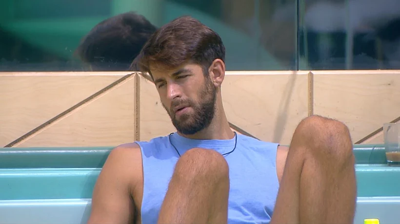 האח הגדול | שחף