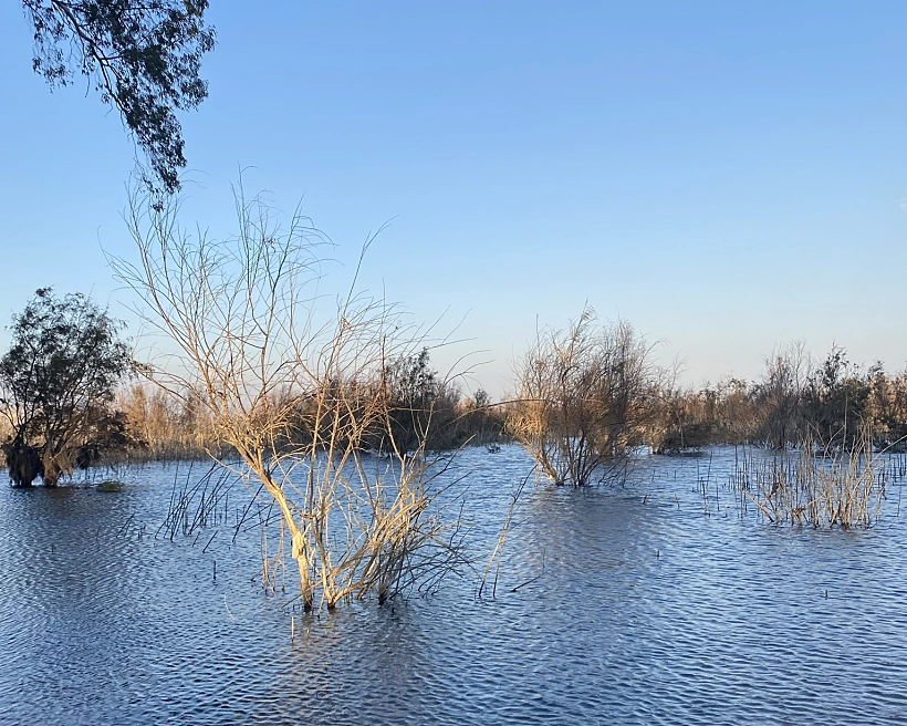 חוף מלצ'ט. צילום: אבנית סטרולוב