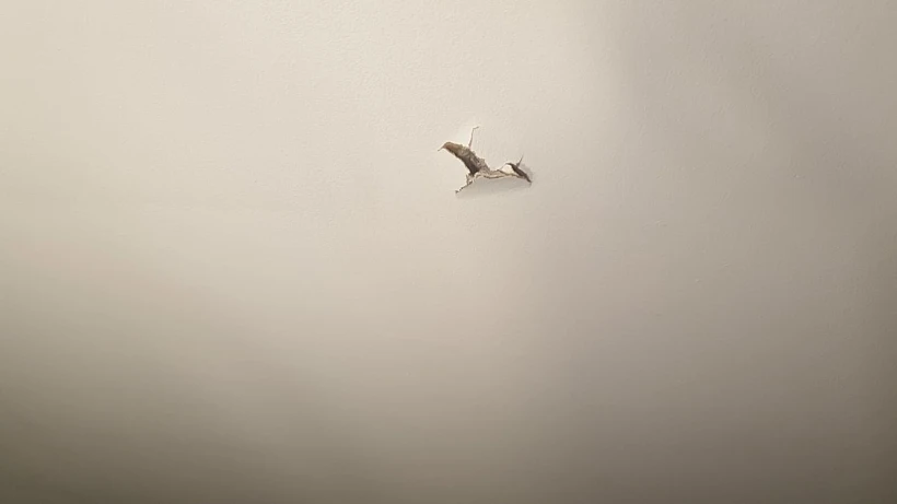 Whatsapp Image 2022 09 25 At 1