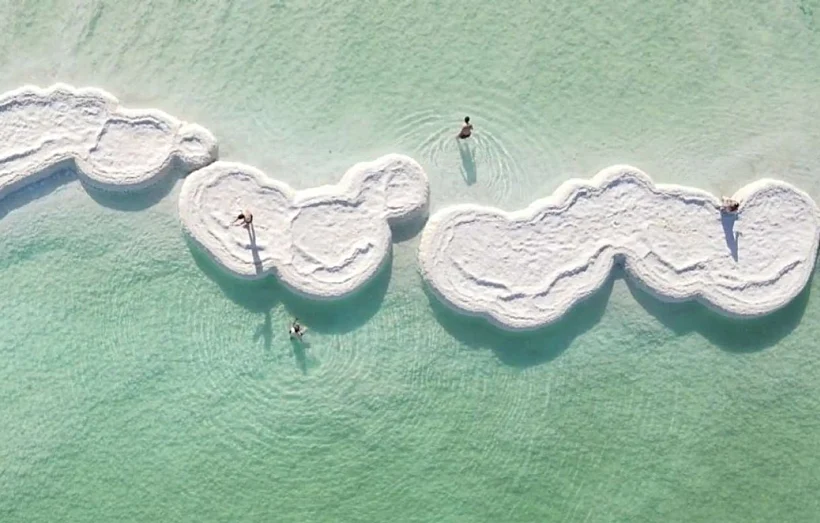 פטריות ים המלח