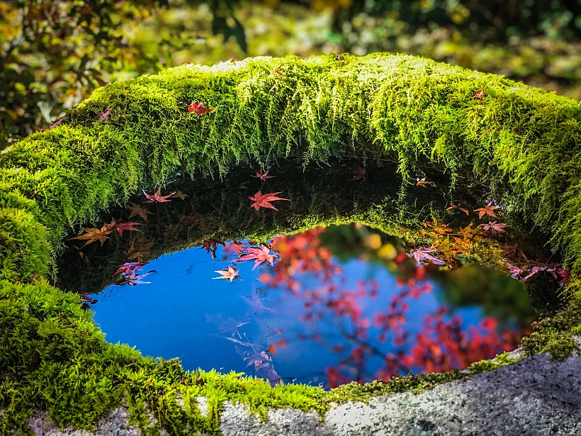 קיוטו. צילום: שחר ליליה גריפין
