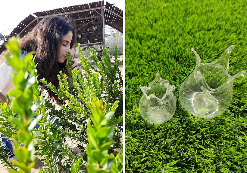 סוכות בצפון הנגב. צילומים: רונן חורב וחמדת שדות