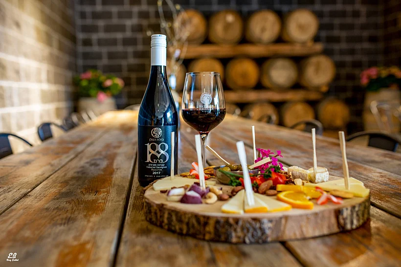 יקב בזלת הגולן. צילום: בועז אשכול