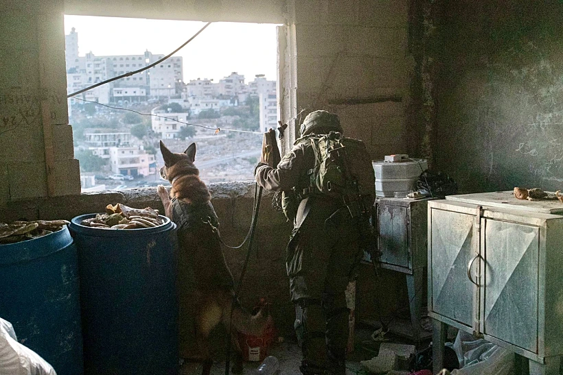 פעילות צה''ל באיו''ש הלילה