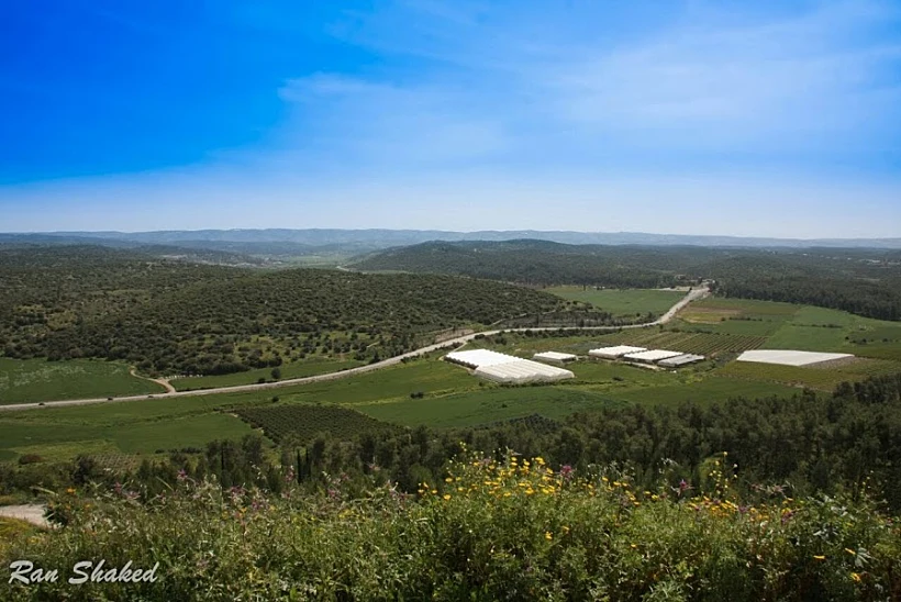 תל עזקה. צילום: רן שקד