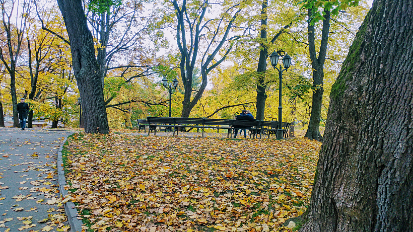סתיו בריגה. צילום: מיכל בן ארי מנור