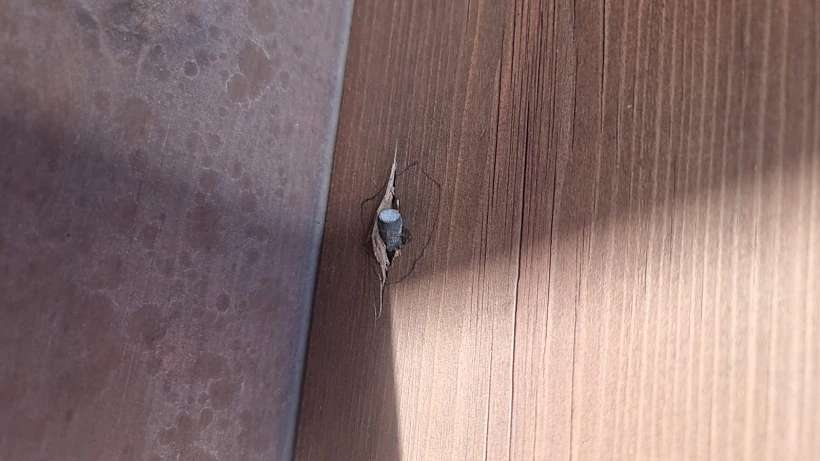 הקליע שחדר לבית ביישוב שקד בצפון השומרון