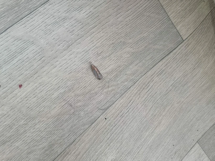 הקליע שחדר לבית ביישוב שקד בצפון השומרון