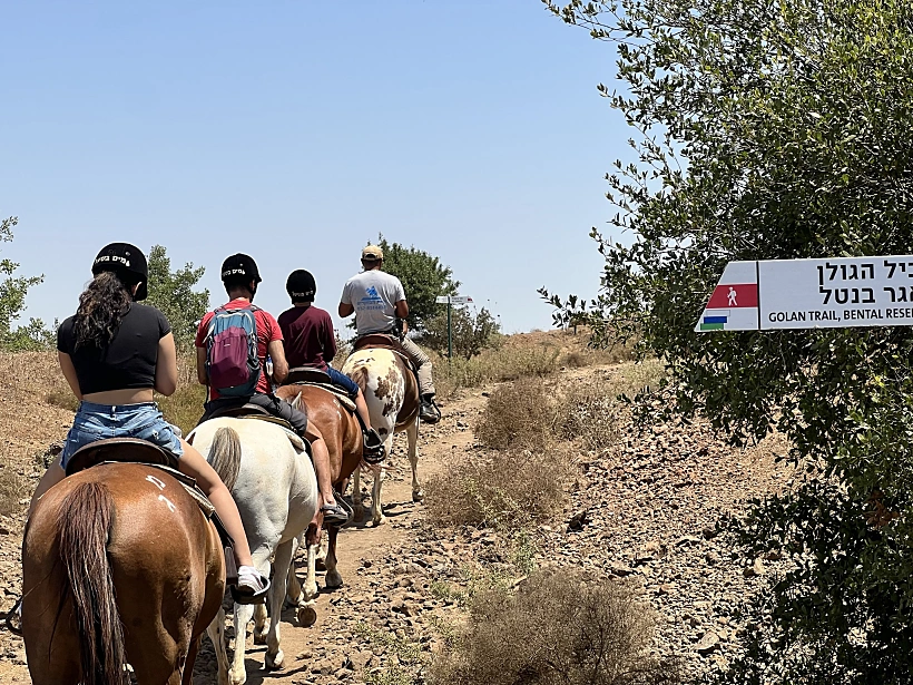 חוות הבוקרים במרום גולן