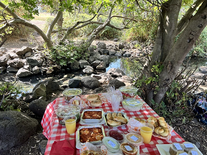 ארוחת בוקר של לילך בעין פחורה. צילום: אבנית סטרולוב
